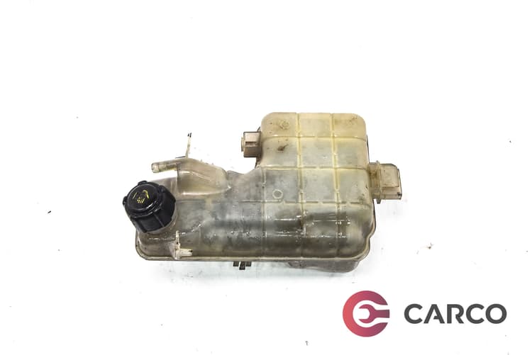 Казанче антифриз за RENAULT ESPACE Mk IV (JK0/1_) 2.2 dCi (JK0H) (2002)