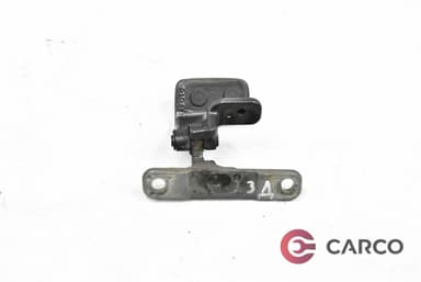 Панта заден капак дясна за RANGE ROVER SPORT (LS) 3.6 D 4x4 (2005 - 2013)
