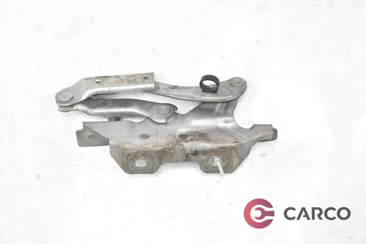 Панта преден капак лява за MERCEDES-BENZ A-CLASS (W169) A 180 CDI (169.007, 169.307) (2004 - 2012)