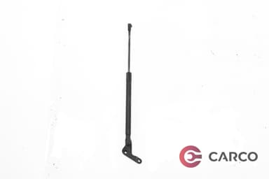 Амортисьор заден капак 51247060622 за BMW 1 (E87) 120 d (2003 - 2013)