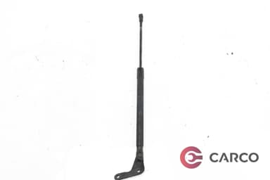 Амортисьор заден капак 51247060622 за BMW 1 (E87) 120 d (2003 - 2013)