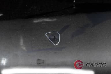 Врата предна дясна за CHEVROLET CAPTIVA (C100, C140) 2.0 D 4WD (2006)