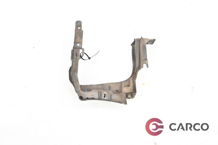 Екстериорна лайсна дясна 668620016R за RENAULT GRAND SCÉNIC III (JZ0/1_) 1.9 dCi (2009)