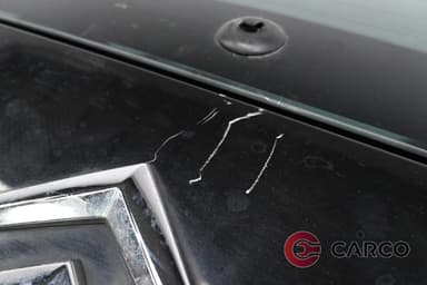 Заден капак за CITROEN C3 Picasso 1.6 HDi (2009)