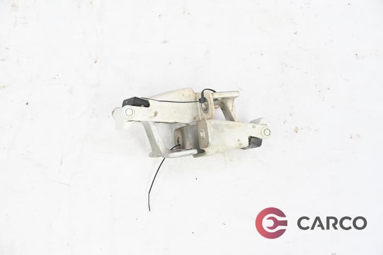 Панти задна дясна врата за RENAULT KANGOO Express (FW0/1_) 1.5 dCi 75 (2008)