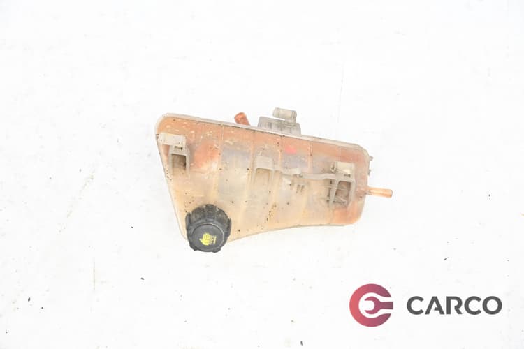 Казанче антифриз за RENAULT KANGOO Express (FW0/1_) 1.5 dCi 75 (2008)