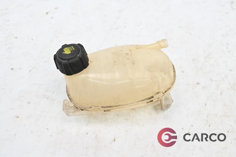 Казанче антифриз за DACIA SANDERO III Stepway 1.0 L TCe 90 I3 12V (2020)