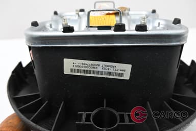 AIRBAG волан 8200677493 за RENAULT EURO CLIO III Facelift (BR0/1, CR0/1) 1.2 Ethanol (2005)