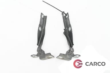 Панти преден капак 2 броя комплект за CITROEN C3 II 1.4 (2009)