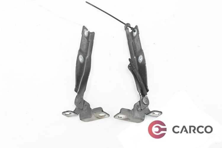 Панти преден капак 2 броя комплект за CITROEN C3 II 1.4 (2009)