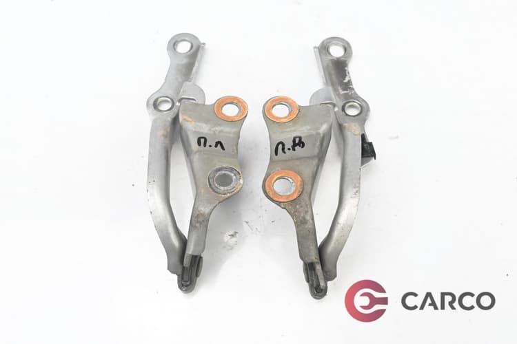 Панти преден капак 2 броя комплект за TOYOTA RAV 4 Mk II (CLA2_, XA2_, ZCA2_, ACA2_) 2.0 AWD (2000 - 2005)