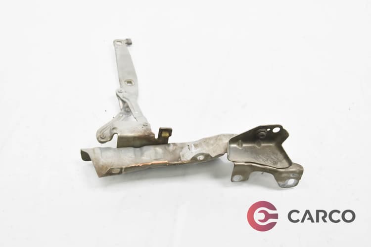 Панта преден капак лява за RENAULT GRAND SCÉNIC II (JM0/1_) 1.9 dCi (JM0G, JM12, JM1G, JM2C) (2004)