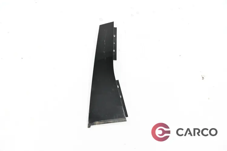 Екстериорна лайсна врата задна дясна за FIAT CROMA (194) Facelift 1.9 D Multijet (2005)